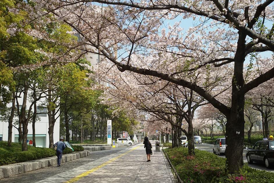 Pengalaman Kuliah di Jepang